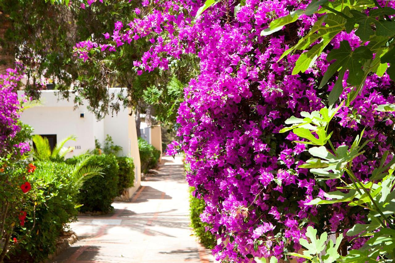 Apartamentos Club Cala Azul سان كارلوس دي بيرالتا المظهر الخارجي الصورة